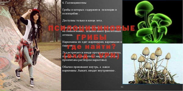 мяу мяу мука Нефтекумск