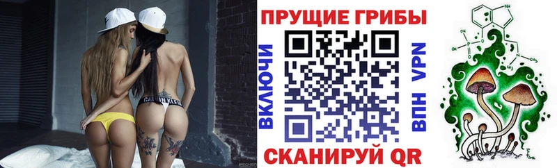 Галлюциногенные грибы MAGIC MUSHROOMS  сколько стоит  Шарыпово 